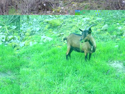 20140305_142120.jpg (368.64 KiB) Osservato 833 volte 20140305_142120.jpg