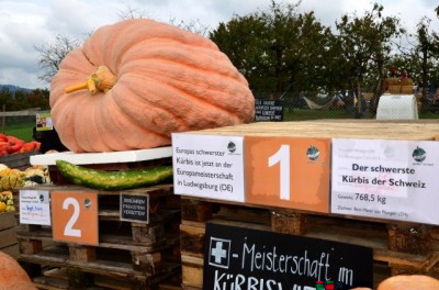 superzucca-640x423.jpg (79.74 KiB) Osservato 994 volte superzucca-640x423.jpg