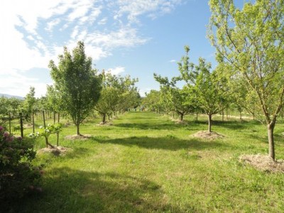 DSC02402.JPG (77.15 KiB) Osservato 1588 volte DSC02402.JPG