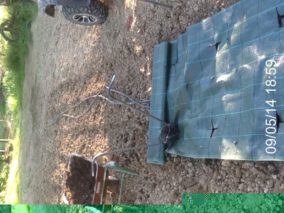 image.jpg (214.24 KiB) Osservato 1395 volte image.jpg