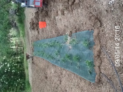 image.jpg (235.29 KiB) Osservato 1395 volte image.jpg