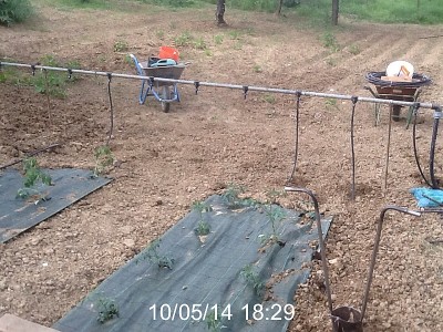 image.jpg (271.44 KiB) Osservato 1395 volte image.jpg