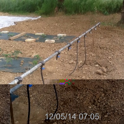 image.jpg (263.25 KiB) Osservato 1395 volte image.jpg