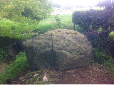 IMG_1429_r.JPG (166.19 KiB) Osservato 1259 volte IMG_1429_r.JPG