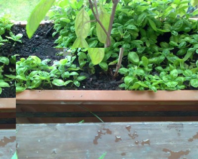 10.JPG (84.64 KiB) Osservato 1269 volte 10.JPG