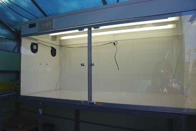 Semenzaio6.jpg Semenzaio6.jpg