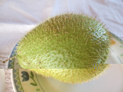 Chayote.JPG (56.85 KiB) Osservato 884 volte Chayote.JPG