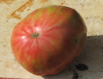 frutto.jpg frutto.jpg
