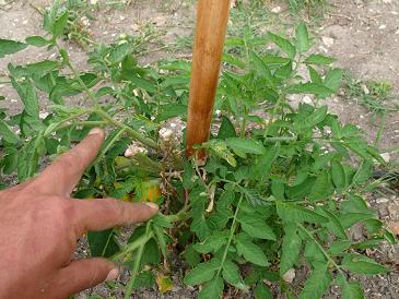 P1080471.JPG P1080471.JPG