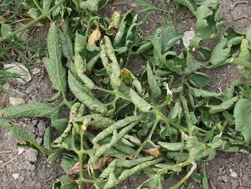 P1080469.JPG P1080469.JPG