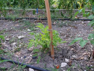 P1080457.JPG P1080457.JPG