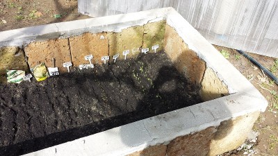 20150303_113134.jpg (226.11 KiB) Osservato 390 volte 20150303_113134.jpg