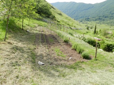 Dopo / letino 012 (640x480).jpg letino 012 (640x480).jpg