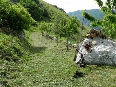 letino 019 (640x480).jpg (330.43 KiB) Osservato 375 volte letino 019 (640x480).jpg