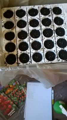 Semina 10 Febbraio / Semina10 Febbraiobbis.jpg Semina10 Febbraiobbis.jpg