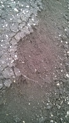 Terreno2.jpg (244.1 KiB) Osservato 2210 volte Terreno2.jpg