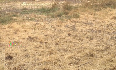 foto terreno.jpg (226.14 KiB) Osservato 3560 volte foto terreno.jpg