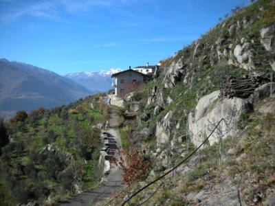 Vista oliveto JPEG.jpg (56.78 KiB) Osservato 5517 volte Vista oliveto JPEG.jpg