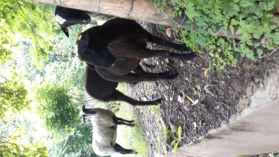 20180531_183945.jpg (125.92 KiB) Osservato 1099 volte 20180531_183945.jpg