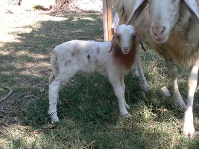 01092013842_800x600.jpg (173.24 KiB) Osservato 846 volte 01092013842_800x600.jpg