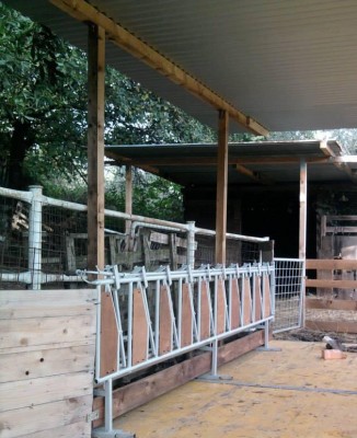 finita1.JPG (80.29 KiB) Osservato 1170 volte finita1.JPG