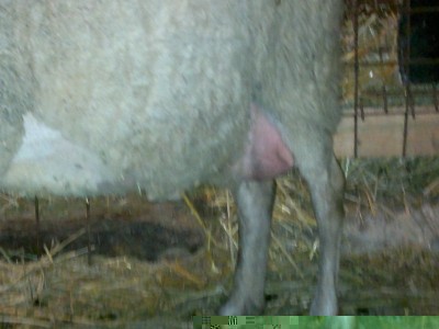 260220141430_800x600.jpg (83.5 KiB) Osservato 1185 volte 260220141430_800x600.jpg