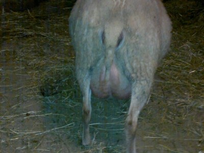 260220141432_800x600.jpg (98.46 KiB) Osservato 1185 volte 260220141432_800x600.jpg