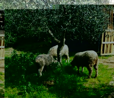 20140321_102846-1.jpg (80.57 KiB) Osservato 626 volte 20140321_102846-1.jpg