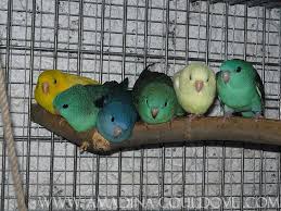 images-3.jpeg images-3.jpeg