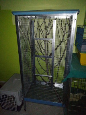 14968716400201140635897.jpg (120.63 KiB) Osservato 4002 volte 14968716400201140635897.jpg