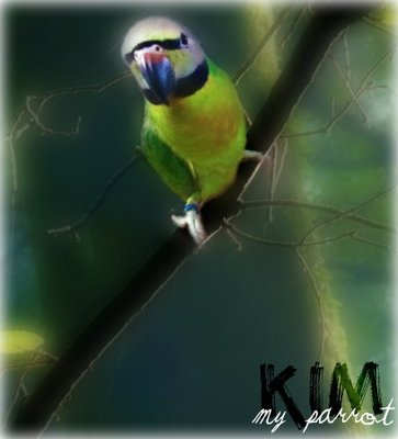 Kim pizap picnik.jpg (32.65 KiB) Osservato 1309 volte Kim pizap picnik.jpg