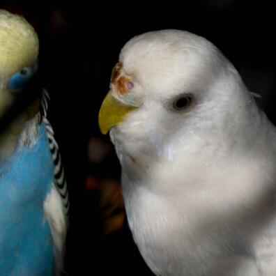 IMG_0017-1.jpg IMG_0017-1.jpg