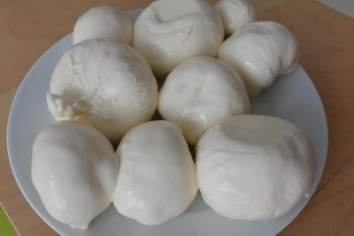 DSC_1811.jpg (51.21 KiB) Osservato 812 volte DSC_1811.jpg