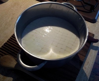 Primo taglio cagliata 1 cm / 1.JPG 1.JPG