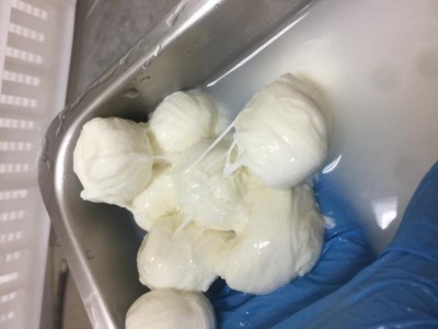 IMG_3686.JPG (51.59 KiB) Osservato 1290 volte IMG_3686.JPG