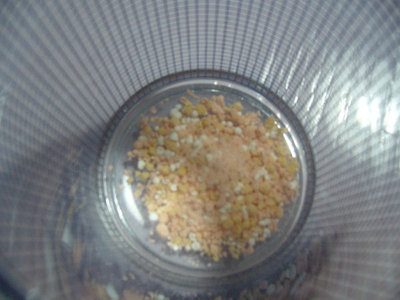 fiordilatte0.jpg (59.1 KiB) Osservato 836 volte fiordilatte0.jpg