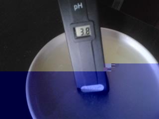 Ph siero-innesto. / Listener (4).jpg Listener (4).jpg