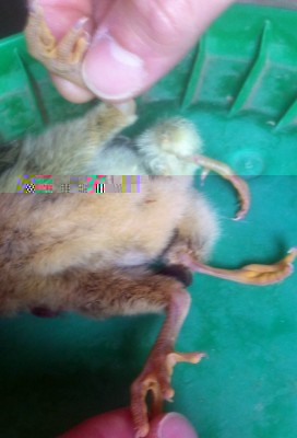 image.jpeg (58.69 KiB) Osservato 3368 volte image.jpeg