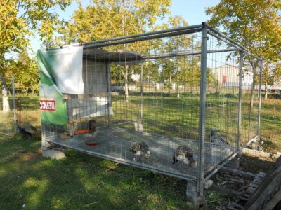 DSCN3189 (Medium).JPG (167.71 KiB) Osservato 3849 volte DSCN3189 (Medium).JPG