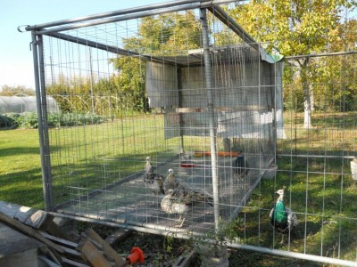 DSCN3190 (Medium).JPG (167.12 KiB) Osservato 3849 volte DSCN3190 (Medium).JPG