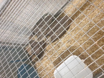 20200614_222544.jpg (133.04 KiB) Osservato 4895 volte 20200614_222544.jpg