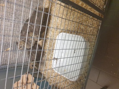 20200614_222538.jpg (103.42 KiB) Osservato 4895 volte 20200614_222538.jpg