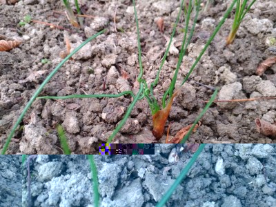 P_20161104_163558_vHDR_Auto.jpg (170.09 KiB) Osservato 1038 volte P_20161104_163558_vHDR_Auto.jpg