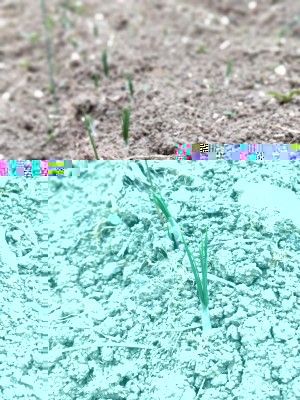 Spate 2017 / IMG_20171001_122313_Bokeh.jpg IMG_20171001_122313_Bokeh.jpg
