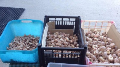 IMG-20180520-WA0016.jpg (85.89 KiB) Osservato 1185 volte IMG-20180520-WA0016.jpg