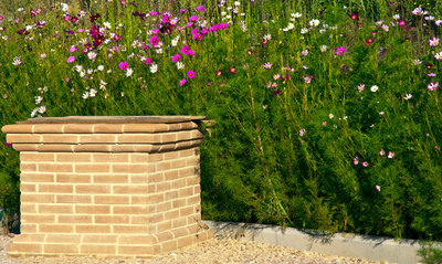 cosmos.jpg (181.46 KiB) Osservato 549 volte cosmos.jpg