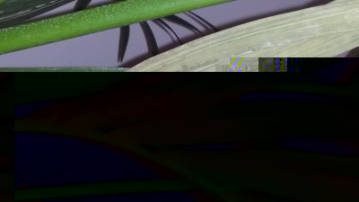 4.jpg (120.34 KiB) Osservato 2963 volte 4.jpg