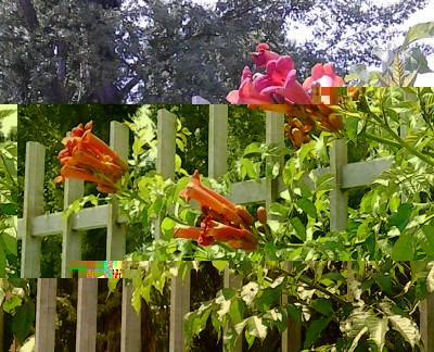 IMG_20150621_192654.JPG (278.17 KiB) Osservato 479 volte IMG_20150621_192654.JPG