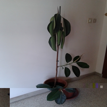 2015-06-25 13.04.22.jpg 2015-06-25 13.04.22.jpg