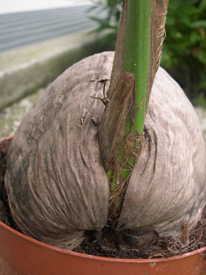 7.jpg (146.71 KiB) Osservato 1682 volte 7.jpg